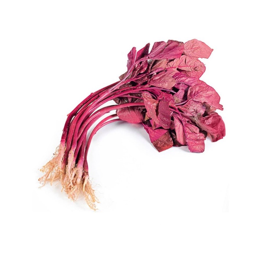 

BAYAM MERAH Hidroponik 200 gr