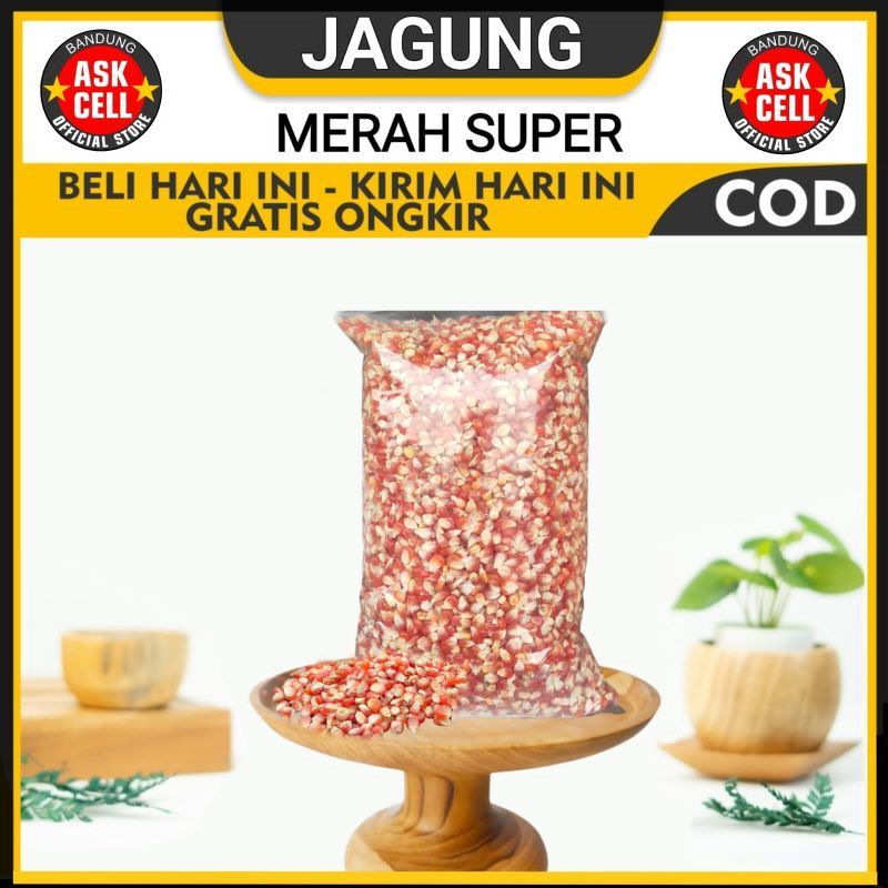 Jagung Pakan Merpati Jagung Merah Super Kecil Jagung Cililin Bandung Beras Merah