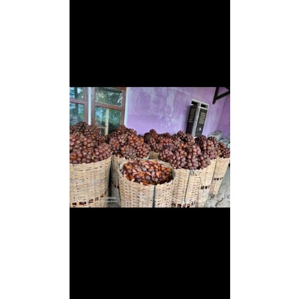 

salakpondoh