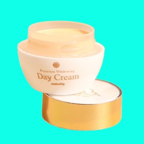 DAY CREAM SKINCARE PRADISKIN