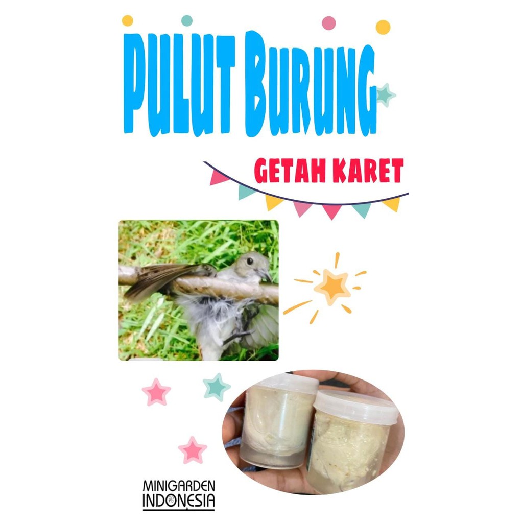 PULUT BURUNG GETAH KARET super lengket rekat asli bendo penjerat kaki burung jebakan ikat perangkap