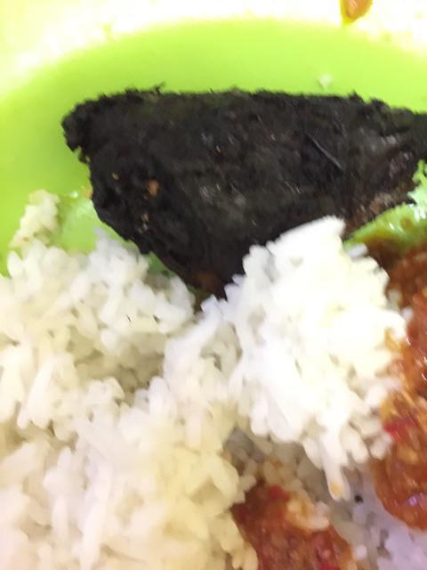 Rose Parfum Laundry Pelicin & Pengharum Pakaian