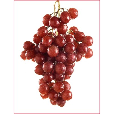 

Bibit Flavour Grape Anggur "100 cc" bisa Parfum Anggur Fragrance Oil