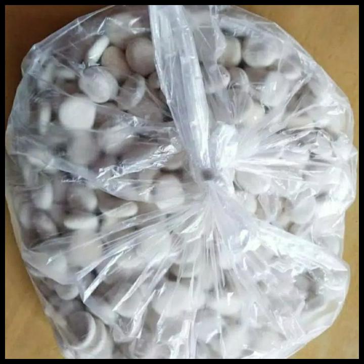 

TERBARUU!! Ragi Tape Ketan / Singkong per 1 kg TERBARU