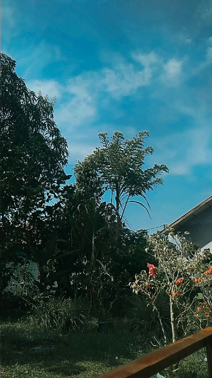 Batik Dolby Dolbi Dobby Doby Tenun Sutra Tulis Katun Atbm Baron Atasan Batik Wanita Sogan Srg308