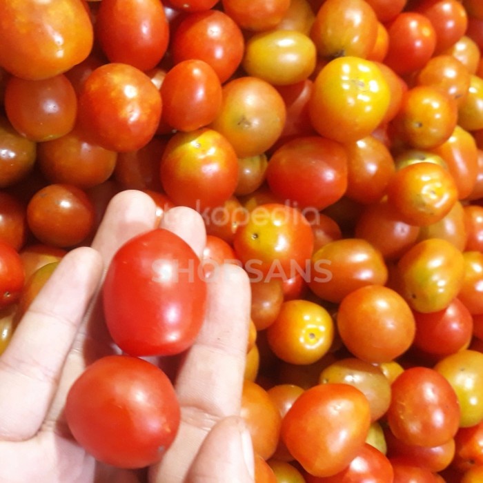 

Tomat Cherry Merah 500gr ceri
