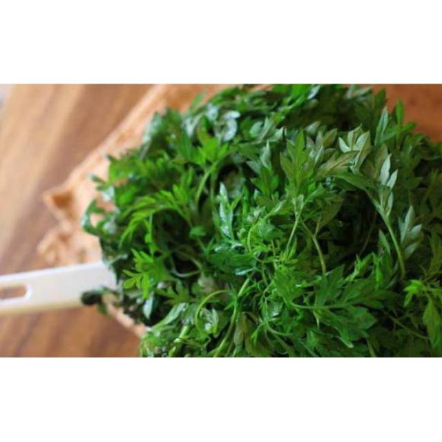 

daun kenikir segar 500 gram Daun herbal kenikir