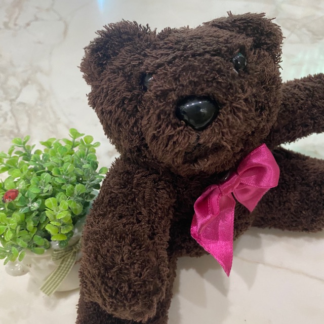 brown bear doll