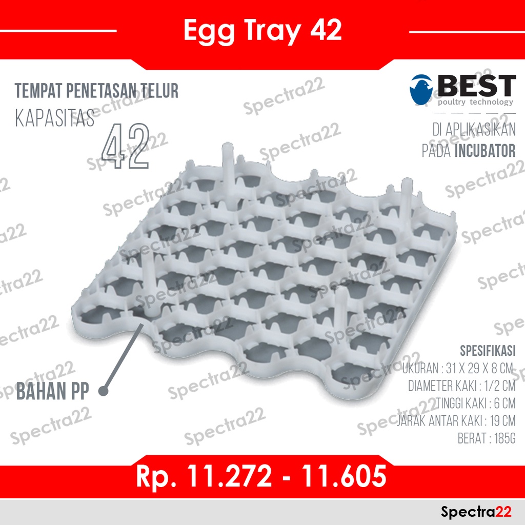 egg tray 42   tempat penetasan telur ayam