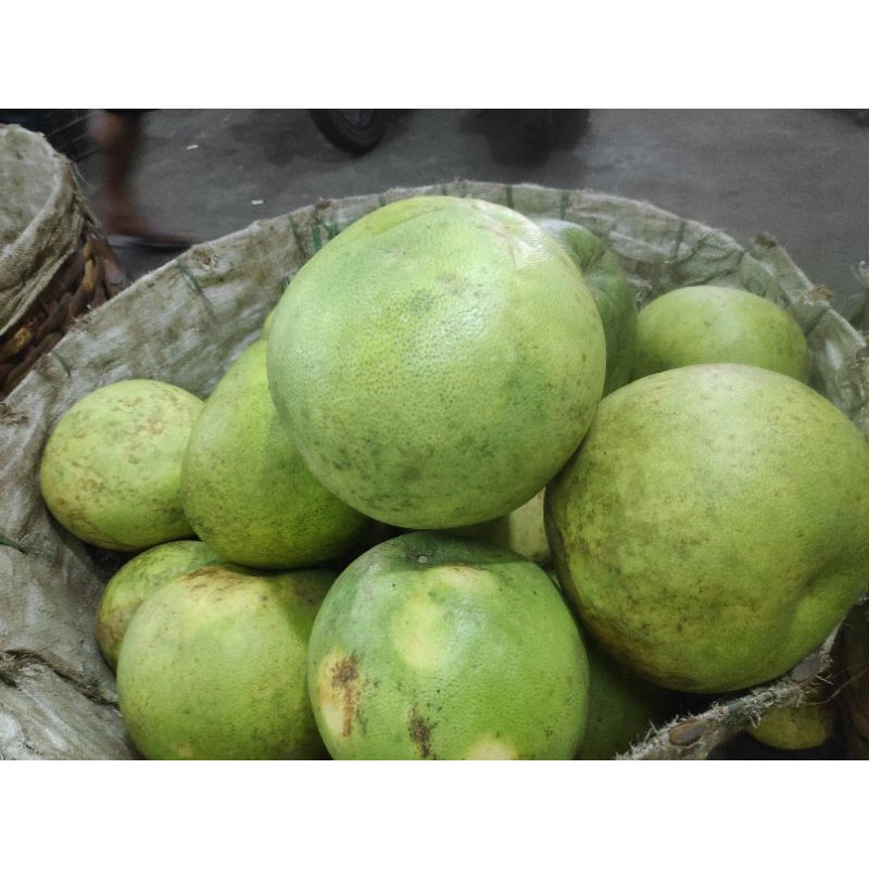 

jeruk madiun per buah