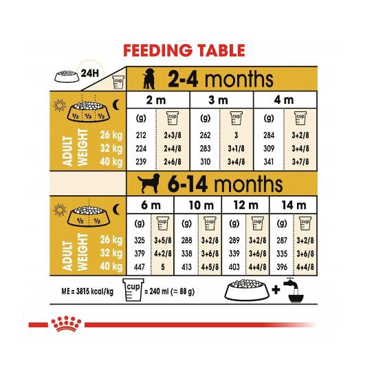 Royal Canin Labrador Retriever Adult 12KG Dog Food Large Makanan Anjing Pakan Pelet Premium