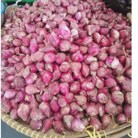 

BAWANG MERAH / Bumbu dapur