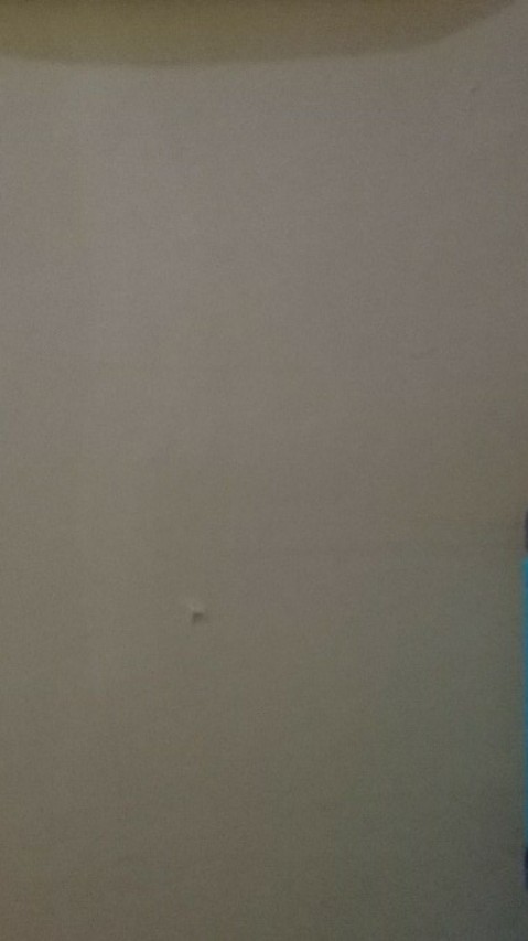 Papan Kayu Fjl Custom Ukuran