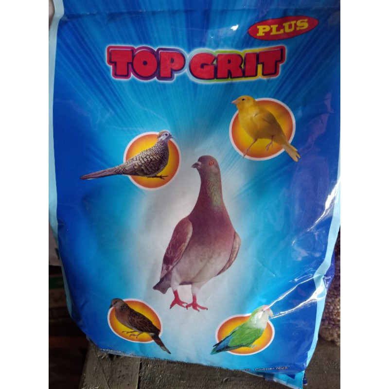 Asinan Merpati Murah, Asinan Merpati Top Grit, Asinan Merpati Ebod