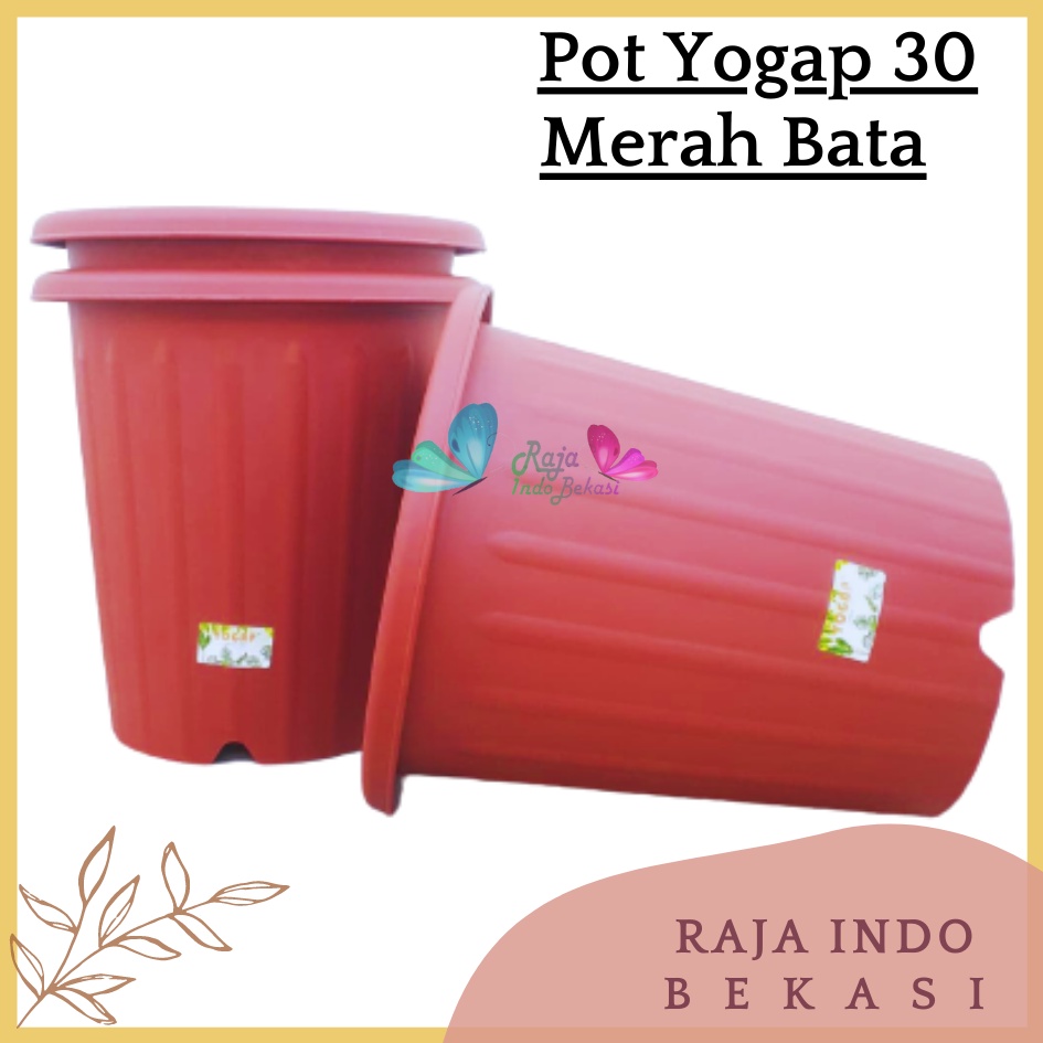 Pot Yogap 30 Putih Transparan Bening Merah Bata Grosir Pot Yogap Yoga 30 Murah - Yogap 30