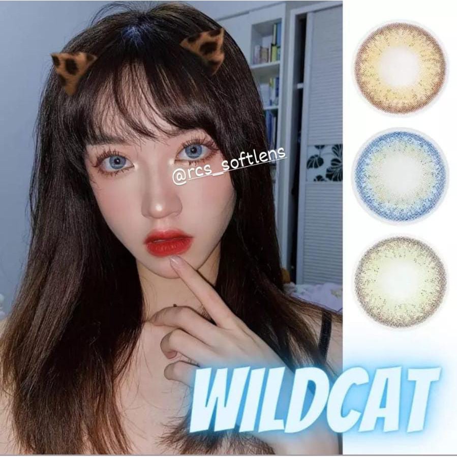 RCS✅ Softlens import Softlens Korea kpop wildcat series