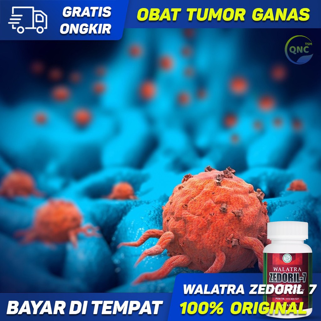 Obat Tumor Ganas, Obat Tumor, Obat Tumor Jinak - Walatra Zedoril 7