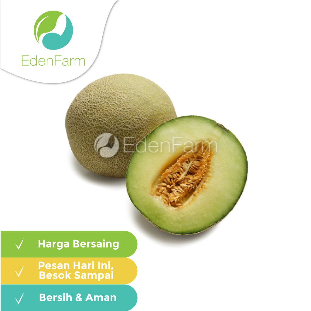 

Melon Hijau (1,5-2kg/pcs) Eden Farm