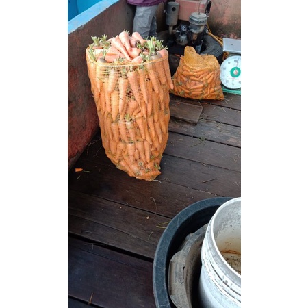 

Aneka Macam Kebutuhan Pokok