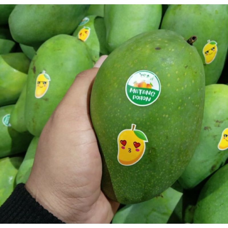 

Mangga harum manis matang pohon | mangga suluhan | 1 kg