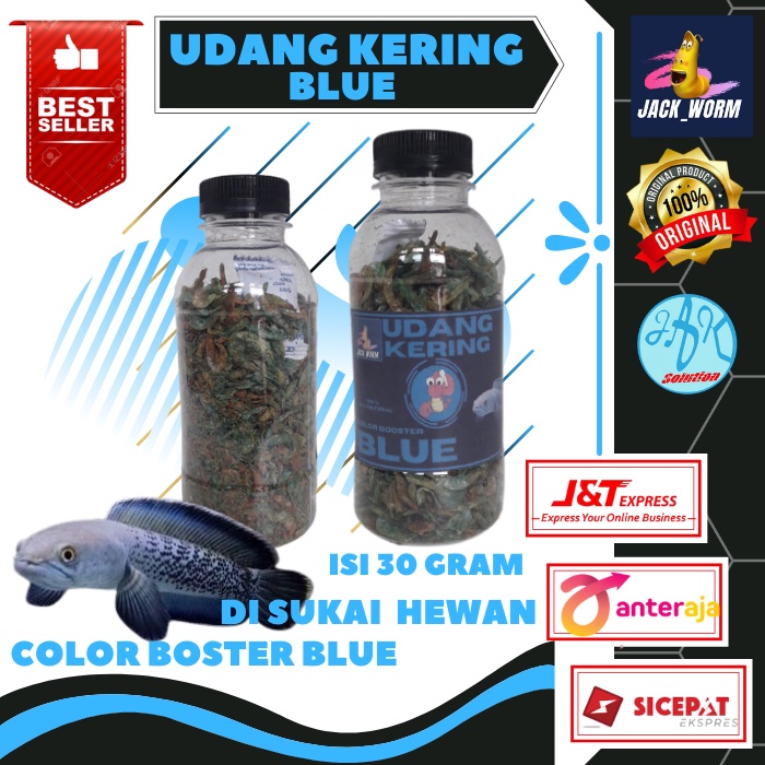 Udang Kering Pakan Ikan Channa Maru Yellow Sentarum Auranti Limbata Pulchra Oscar Tiger Batik Albino