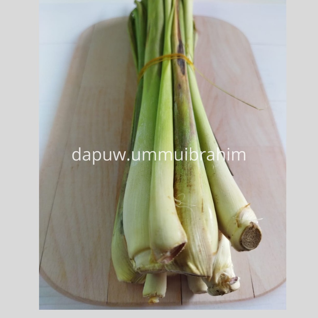 

Sereh Serai besar 250 Gram