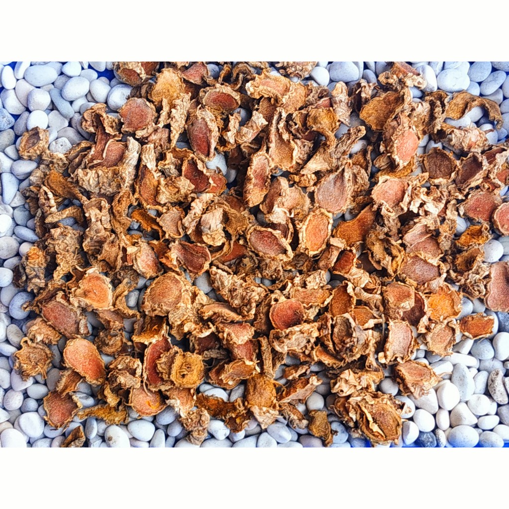 

Kunyit Empu/Babon Kering Alami 500gr (Curcuma longa Linn)