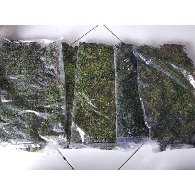 Hot Sell?>hxz-938  MOS DARAT MOS JADUL JAVA MOS