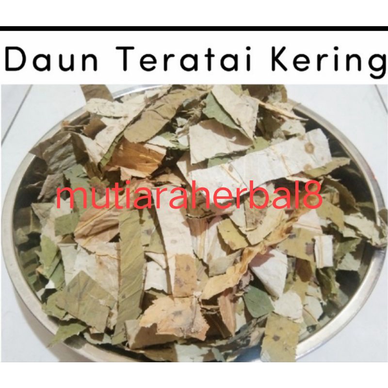 

Daun Teratai kering 100gr / daun kering