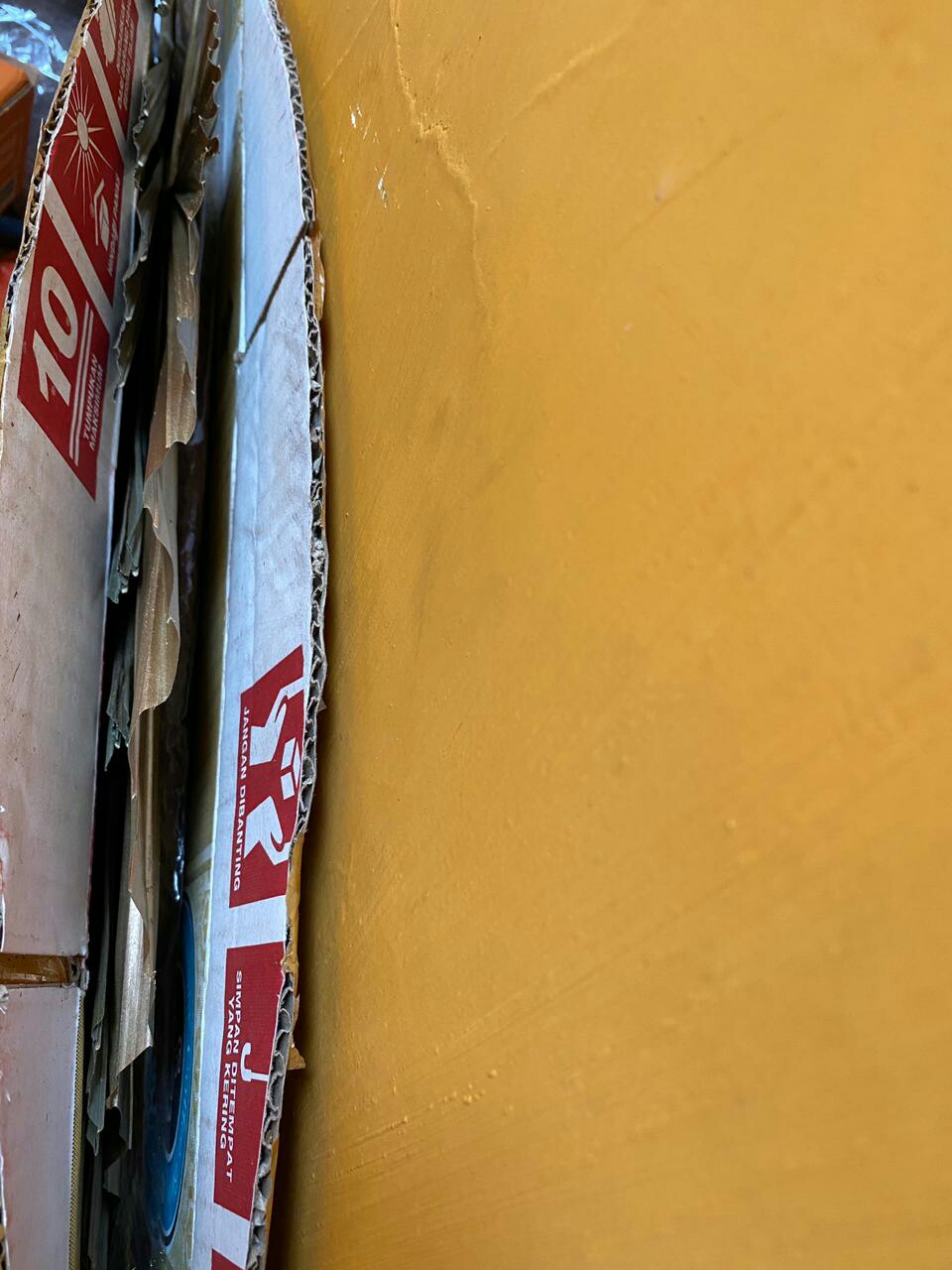 Daun Palm Kering Ukuran 30cm | Dried Palm Leaves | Dried Flowers