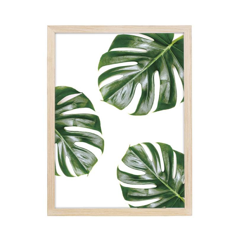 

JYSK Hiasan Dinding Wall Decoration 30X40CM Triple Leaves MDF Frame