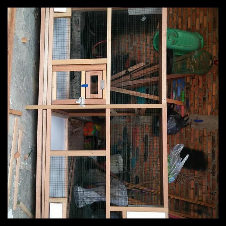 Kandang Ternak Lovebird Minimalis Dari Kayu Sarekil