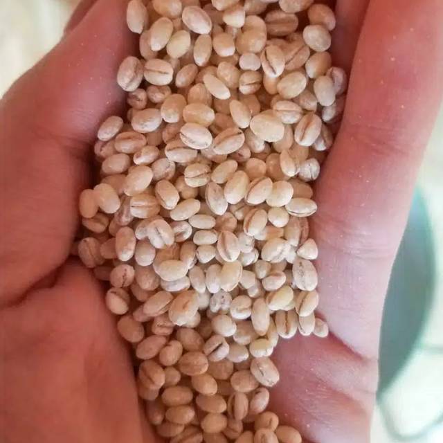 

Organic Barley / Jali jali 1 kg *abstore