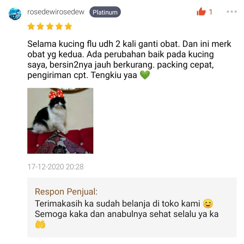 INFLUCAT Obat Flu dan Batuk Kucing Ampuh