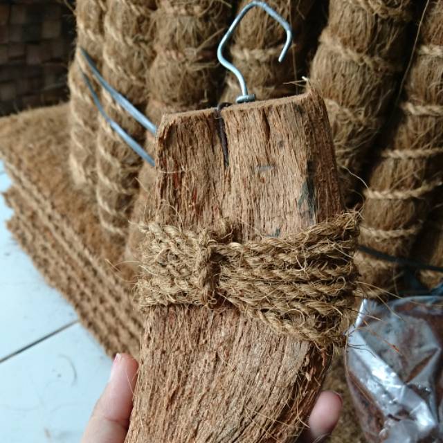 Media tempel anggrek keki sabut kelapa paketan sama tali media keki anggrek pengganti pakis untuk an