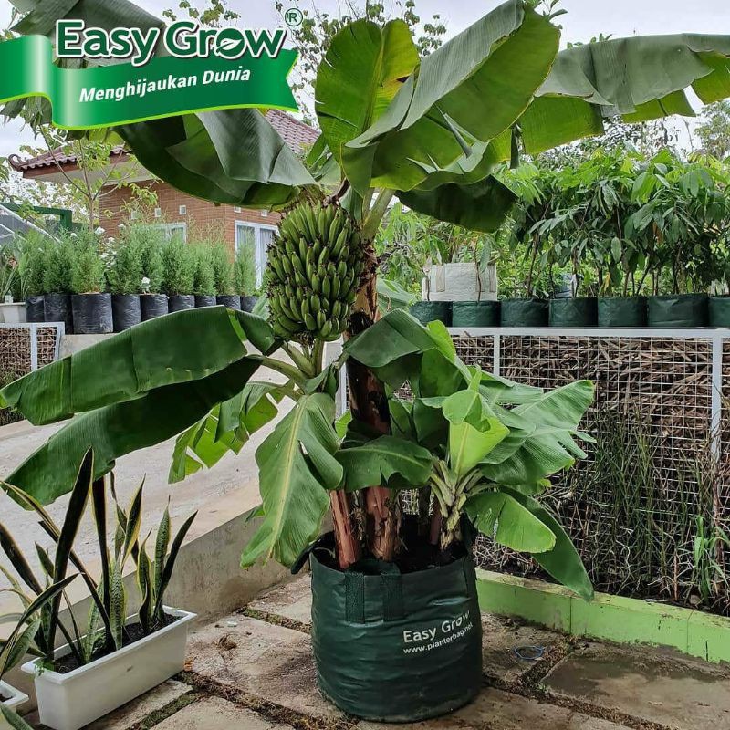 Indiemarkeet Planter Bag 150 Liter Original Easy Grow - Planter Bag Hijau 150 Liter - Tambulampot