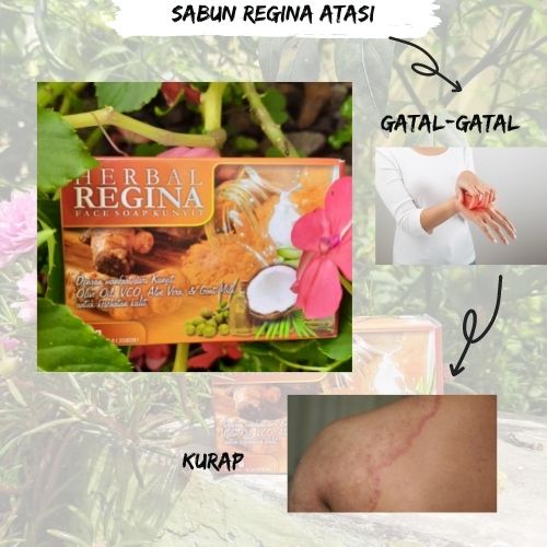 Sabun Herbal Regina Original Sabun Gatal-gatal Sabun Atasi Jamur Sabun Panu Sabun Kurap Bisa COD