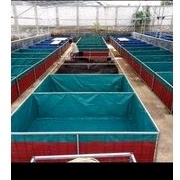 terpal kolam kotak custom bahan Orchid semikaret