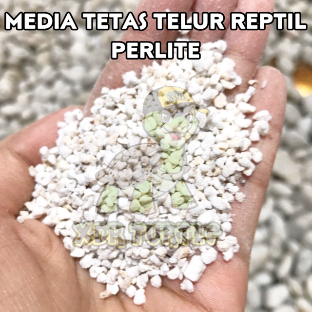 PERLITE VERMICULITE 1KG MEDIA TETAS TELUR REPTIL SULCATA TORTO KURA DARAT BEARDED DRAGON GECKO