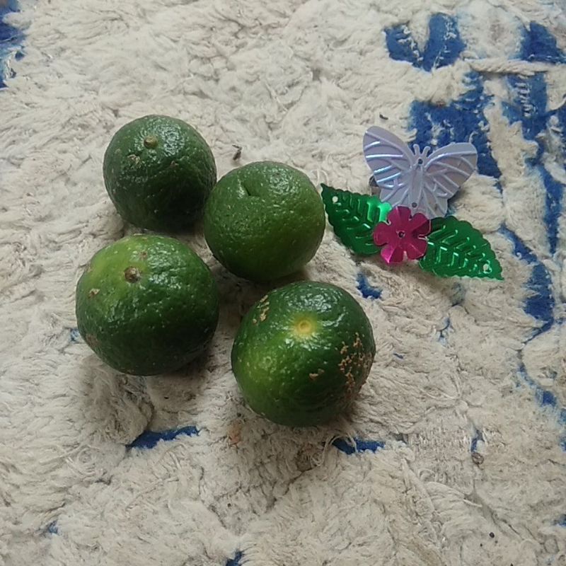 

Jeruk Nipis