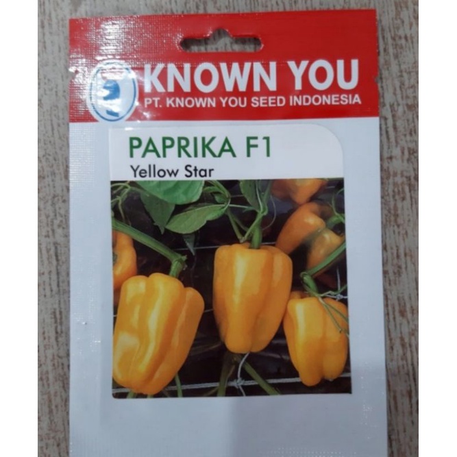 benih paprika yellow star know you seed F1