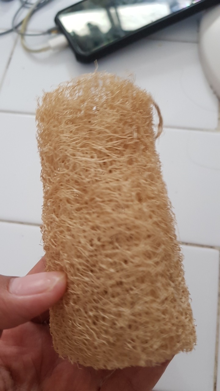 Loofah Puff Mandi Alami Premium Quality + Tali Medium Size