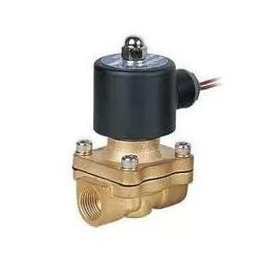 Geerte Electric Solenoid Water Valve 220V 2 Point 1/4 Inch 2W-025-08 - Black/Gold