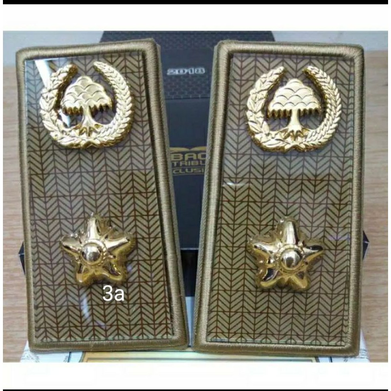 pangkat ASN golongan 3a/pangkat PNS golongan 3a masing" daerah