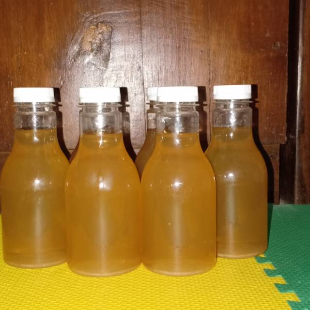 

madu klanceng