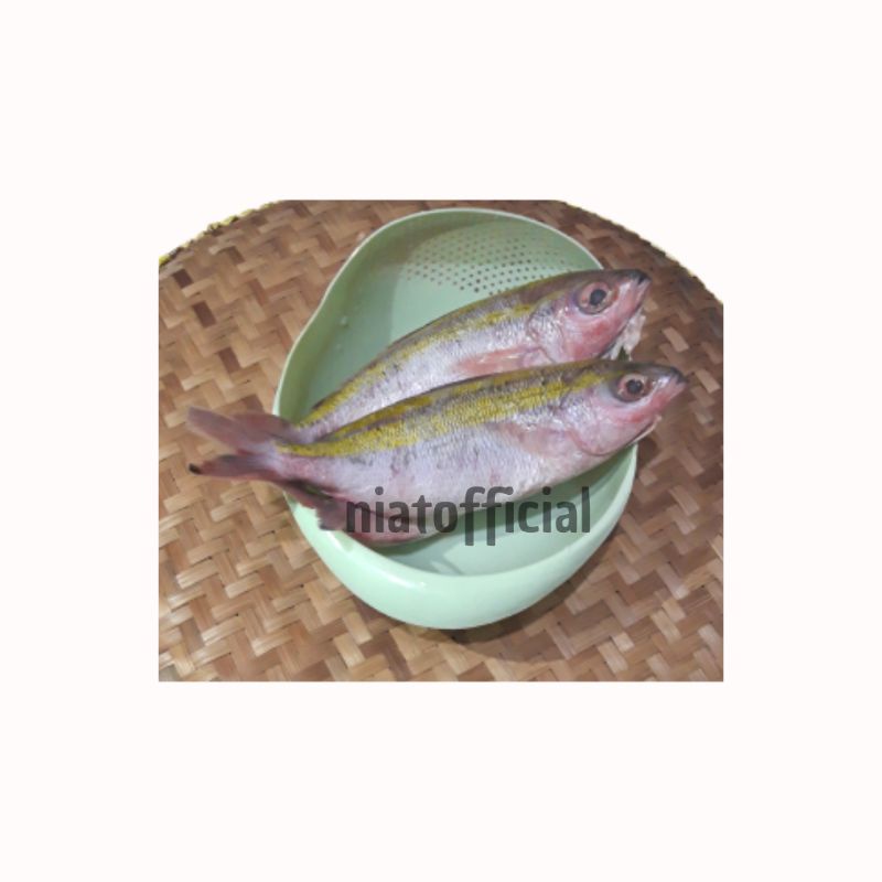 

Ikan Pisang-Pisang -+ 1 Kg