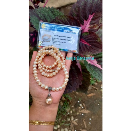 kalung tasbih mutiara pink asli air tawar isi 100 dengan sertifikat
