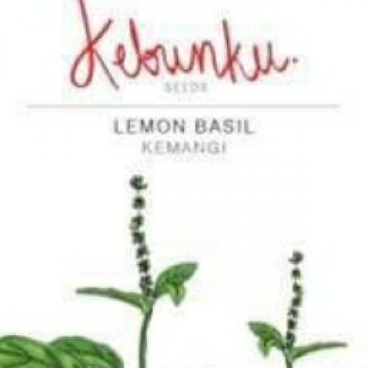 Kebunku Lemon Basil