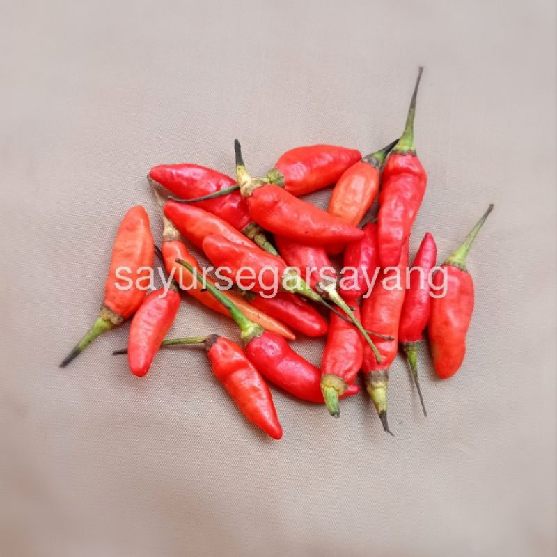 

Cabe Cabai Rawit Merah 500gr