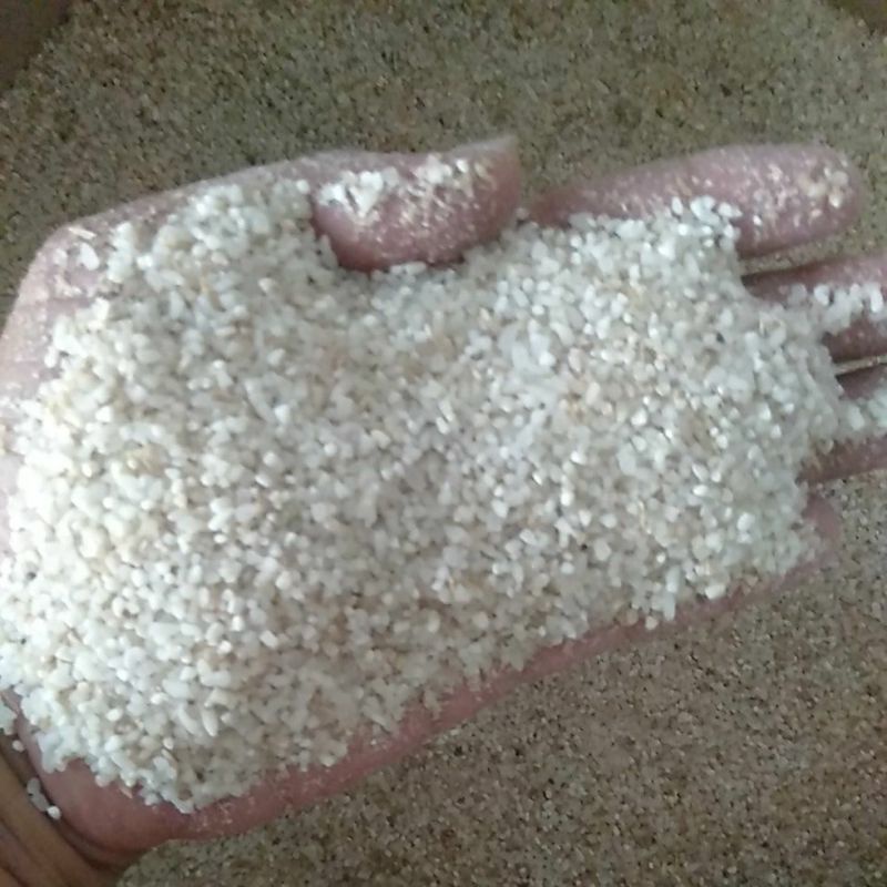 Beras Menir pakan ayam 1 KG